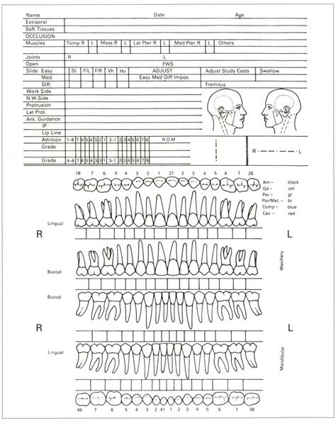 us soft tissue test|intraoral examination chart.